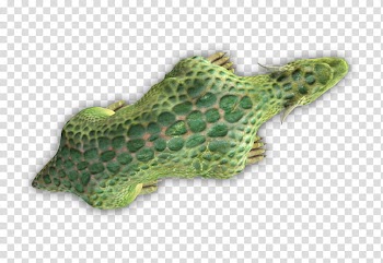 RPG Map Elements , green animal figurine transparent background PNG clipart