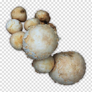 RPG Map Elements , round brown fruit lot transparent background PNG clipart