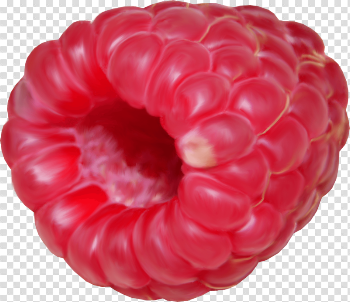 Rraspberry Png Image