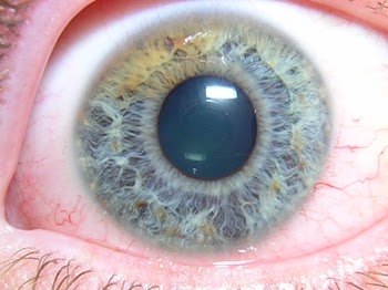 RSCN0998.JPG