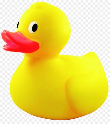 Rubber Duck Clip art - duck 