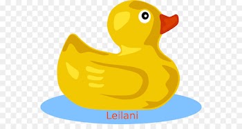 Rubber duck Clip art Vector graphics Openclipart - misty vector 