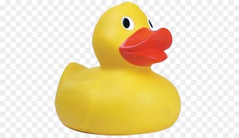 Rubber duck Mallard Ernie Big Duck - DUCK 