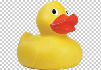Rubber Duck Mallard Ernie Big Duck PNG, Clipart, American Pekin ...
