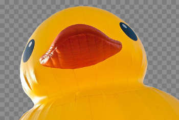 Rubber Duck PNG Pic