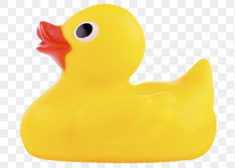 Rubber duck png sticker, object | Free PNG - rawpixel