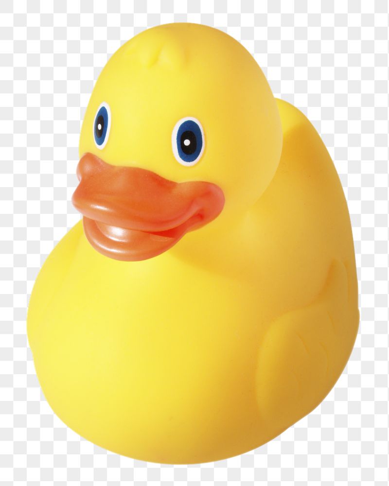 Rubber duck png sticker, transparent | Free PNG - rawpixel