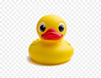 Rubber Duck Transparent Background Clipart (#1737508) - PinClipart