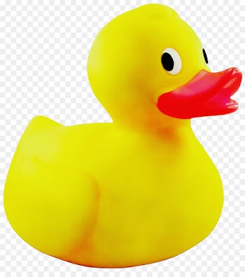 rubber ducky bath toy duck toy yellow
