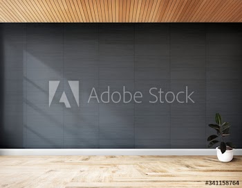 Rubber fig in a gray room
