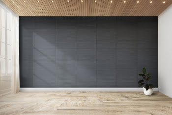 Rubber fig in a gray room Free Psd