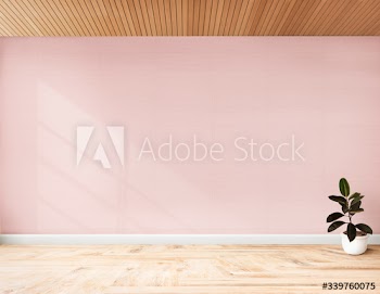 Rubber fig in a pink room