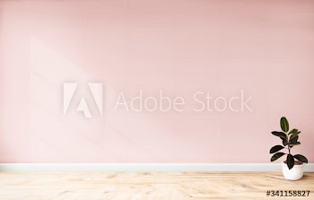 Rubber fig in a pink room
