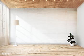 Rubber fig plant in an empty room | Free stock psd mockup - 580508
