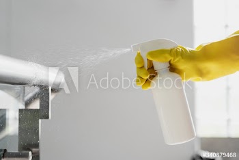Rubber gloved hand holding a white spray bottle