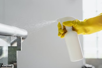 Rubber gloved hand holding a white spray bottle | Free  photo - 2290782
