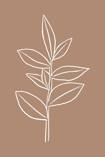 Rubber plant psd doodle botanical… | Free stock illustration | High Resolution graphic