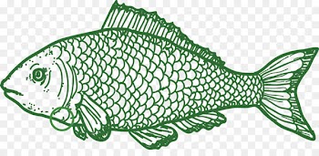 Rubber stamp Illustration - Marine life,Through fish 