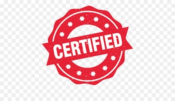 Rubber stamp Professional certification - approved vector 