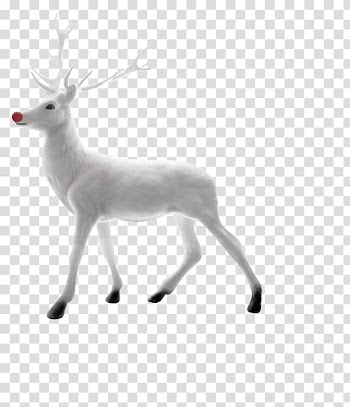 Rudolph Reindeer Santa Claus Christmas, Reindeer transparent background PNG clipart