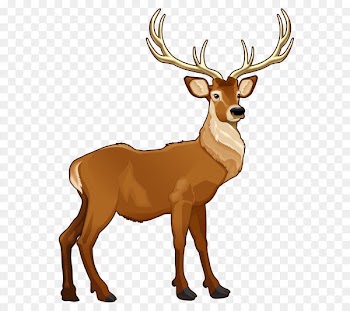 Rudolph Santa Claus's reindeer Clip art - Brown Reindeer PNG Clipart Picture 