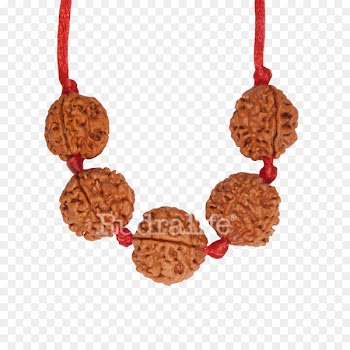 Rudraksha Rudralife Bead Japamala Health - Rudraksha 