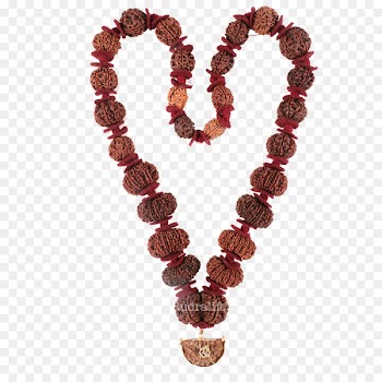 Rudraksha Shiva Rudralife Japamala Hinduism - others 