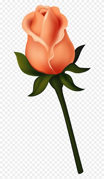 Ruže « Category - Rose Bud Clip Art