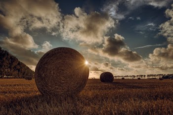 Rule of Thirds Photography of Round Brown Hay