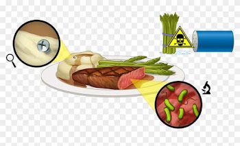 Rulethirteen Is A Company That Gives Qualified Advice - Physical Hazards In Food