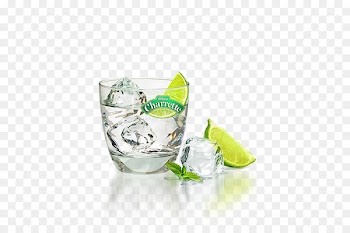 Rum Vodka tonic Mojito Ice - vodka 