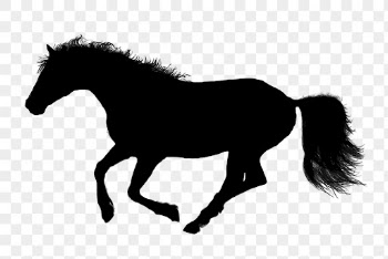 Running horse png sticker animal | Free PNG - rawpixel