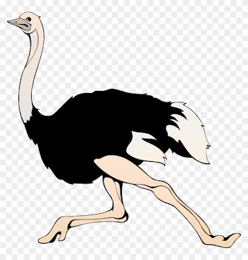 Running Ostrich Clip Art - Words With Letter O