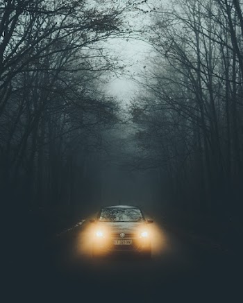 Running Vehicle Between Trees