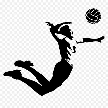 Russian Volleyball Federation VC Zenit-Kazan Sport VC Belogorie - volleyball 
