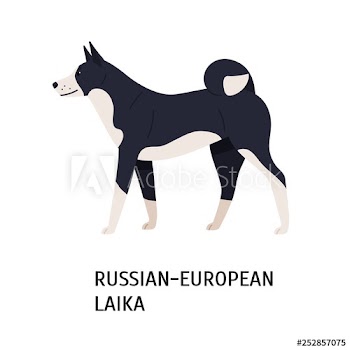 Russo-European Laika