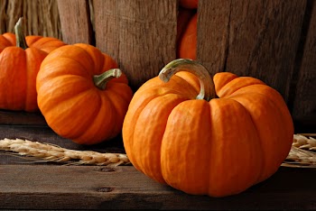 Rustic autumn still life with mini pumpkins on old wood with vintage basket in background.  Macro with shallow dof.