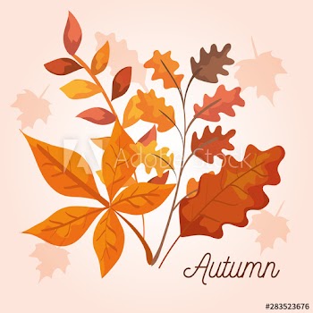 rustic branches leaves plants design