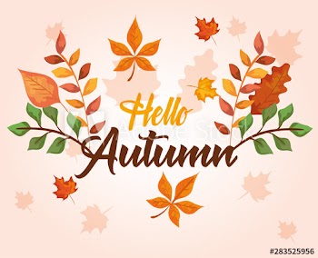 rustic leaves branches plants design