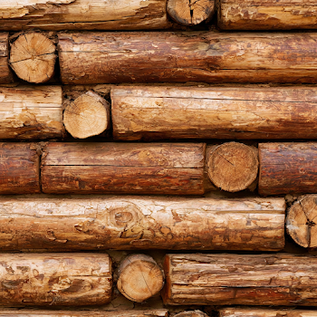 Rustic Log Cabin Wall Texture