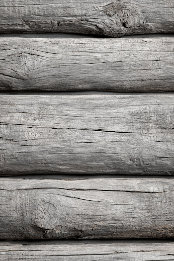 Rustic Log Cabin Wall Texture