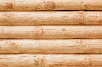 Rustic Pine Log Cabin Wall