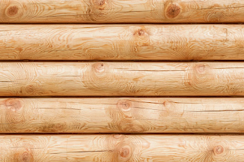 Rustic Pine Log Cabin Wall Texture