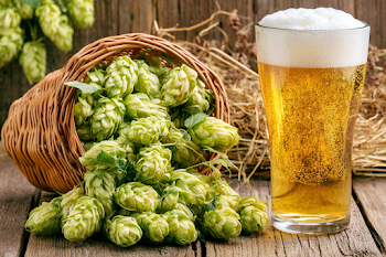 Rustic Still Life with Fresh Hops and Golden Beer