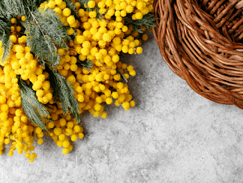 Rustic Wicker Basket with Fresh Mimosa Flowers