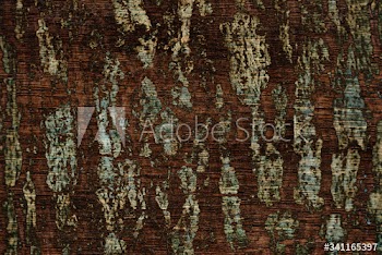 Rustic wooden floor