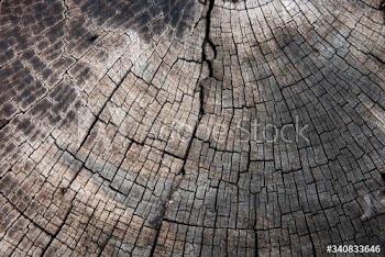 Rustic wooden pattern
