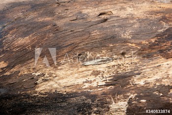 Rustic wooden pattern