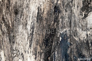 Rustic wooden pattern