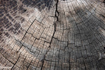 Rustic wooden pattern | Free stock photo - 593437